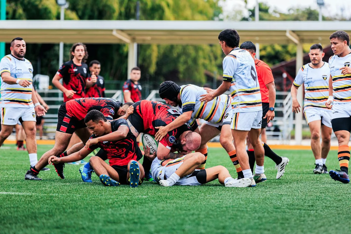 England Rugby News Latest